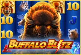Buffalo blitz